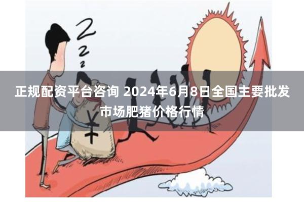 正规配资平台咨询 2024年6月8日全国主要批发市场肥猪价格行情